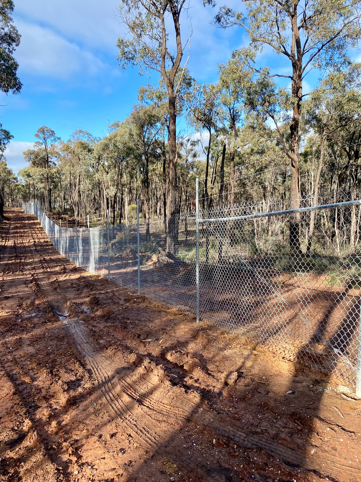 Heavy-Duty Chain-Link Security Fencing for the Pig and Whistle Gold Mine Pit