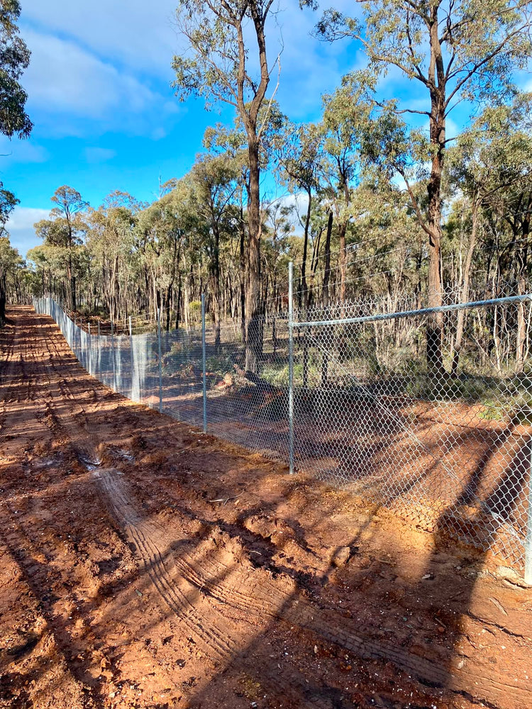 Heavy-Duty Chain-Link Security Fencing for the Pig and Whistle Gold Mine Pit