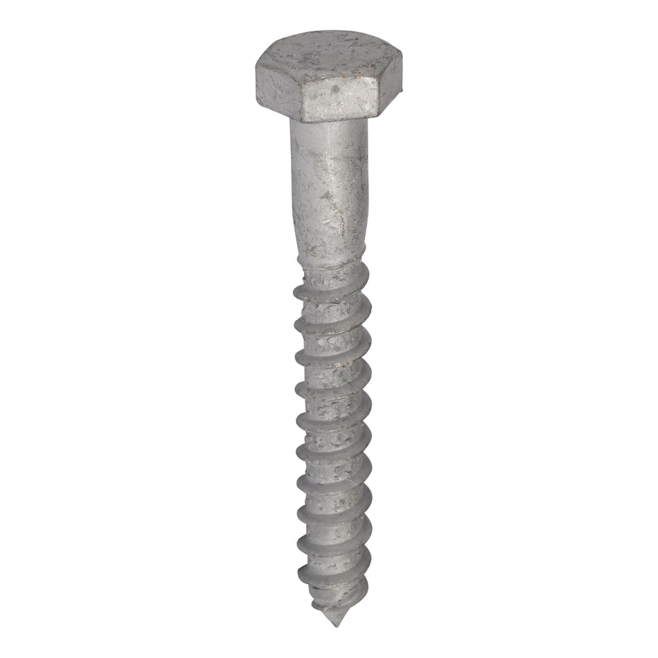 Timber Coach Screw Galvanised