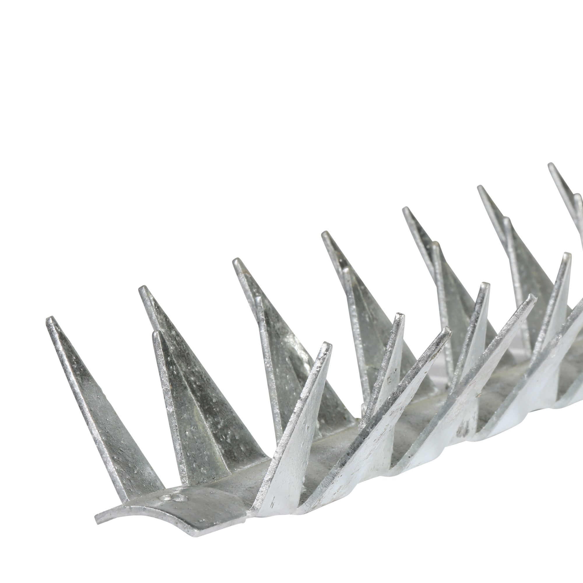 Spiked Razor Top Galvanised