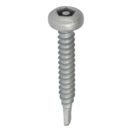 Pentaforce Galvanised Self Driller Anti Tamper Security Screw 12g x 25mm
